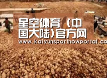 种植基地二