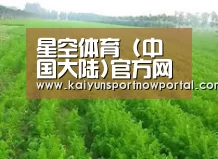 种植基地四