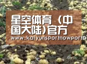种植基地八(图1)