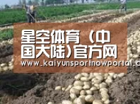 种植基地七(图1)